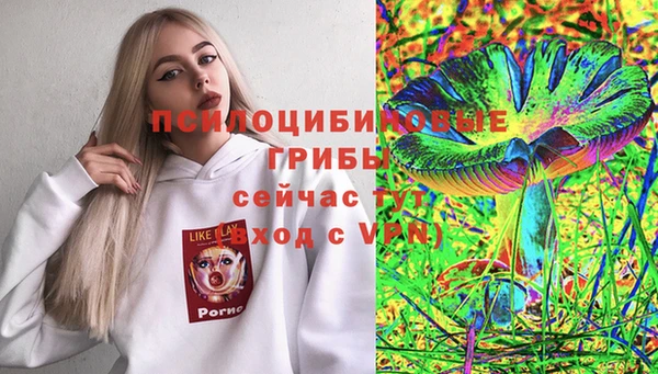 mdma Богородицк