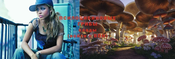 твердый Беломорск